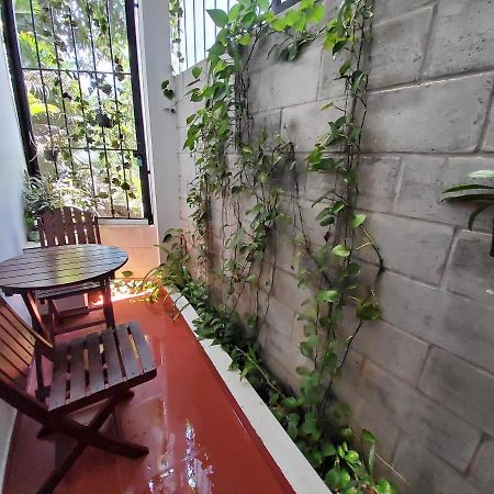 هوي ان Bean Grass Homestay المظهر الخارجي الصورة